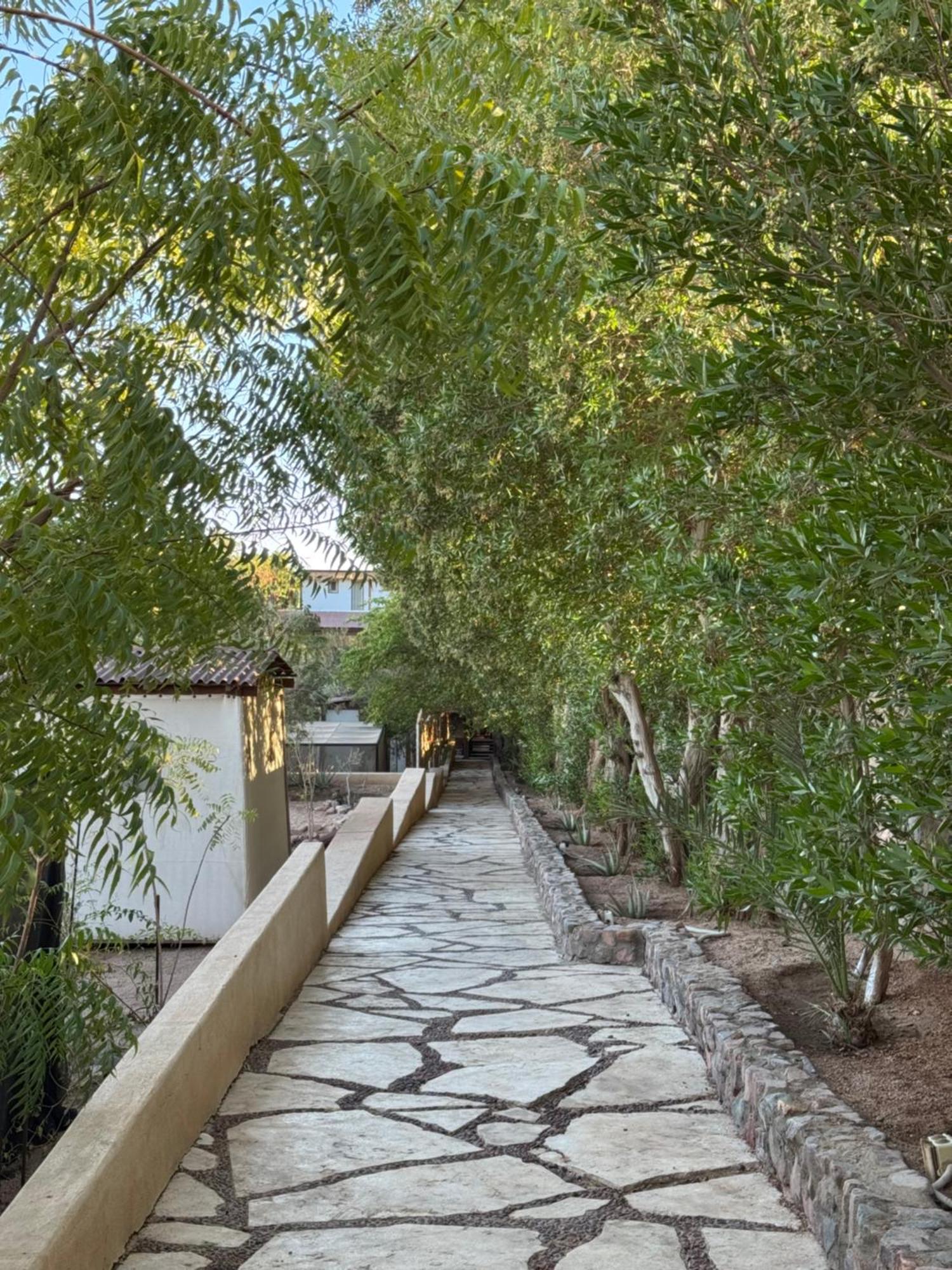 The Wind Farm Villa Dahab Exterior photo